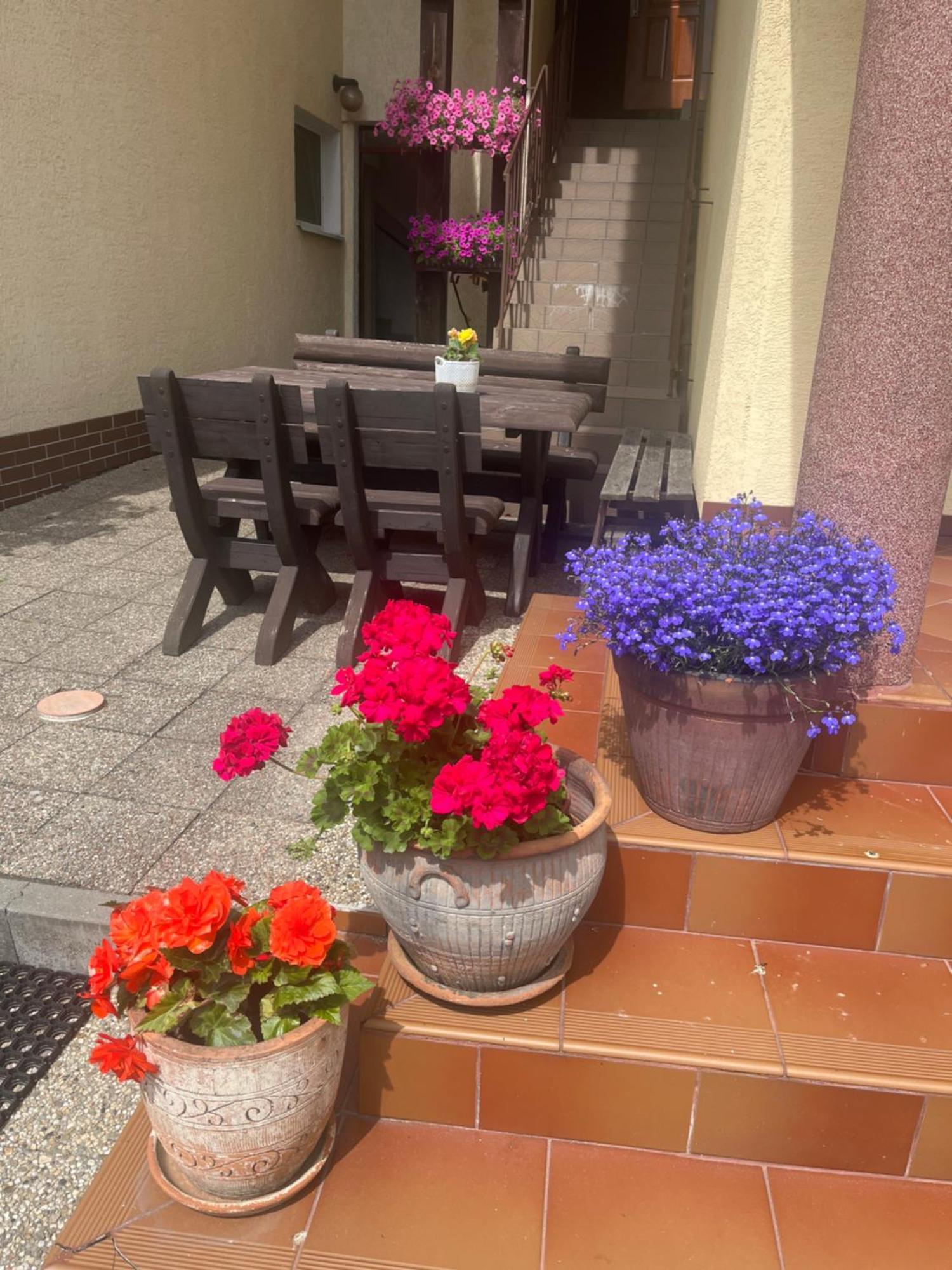 Dom Muszelka Otel Krynica Morska Dış mekan fotoğraf